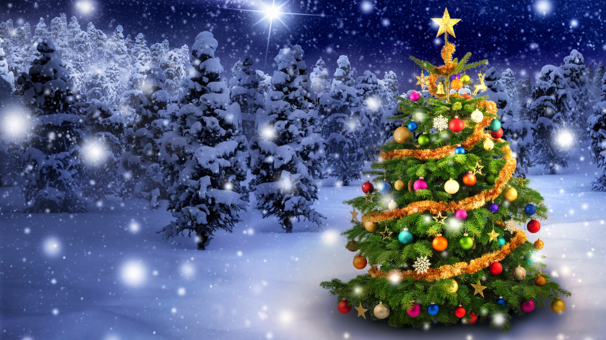 Sapin de Noël