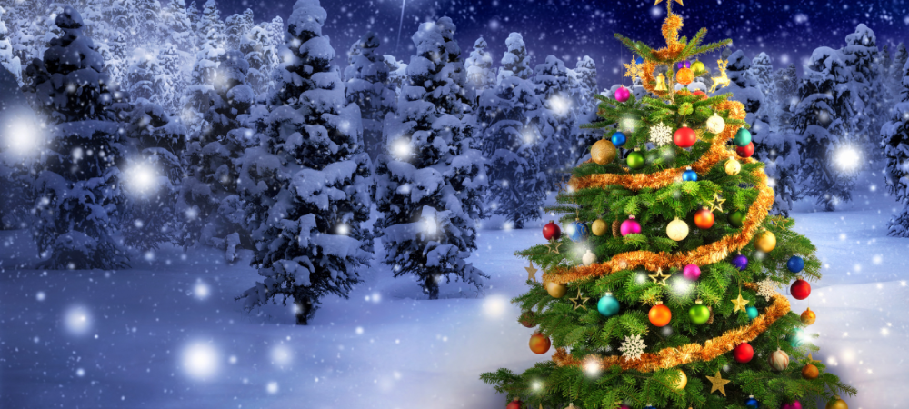 Sapin de Noël