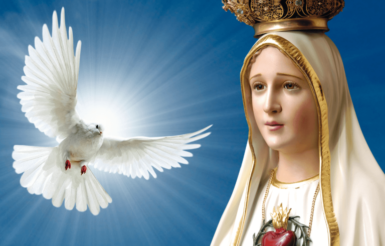 Modèle de lutte contre péché